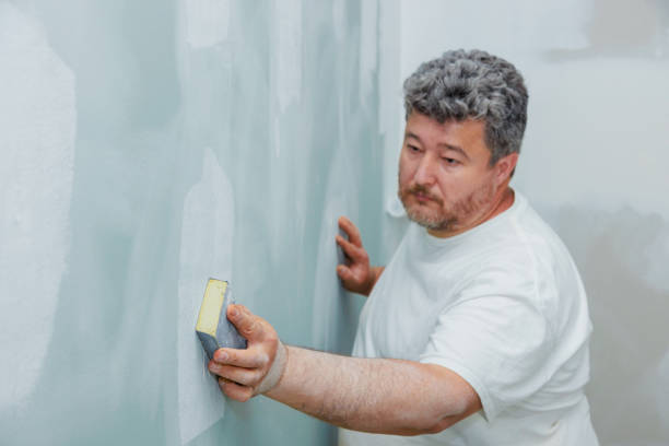 Professional Mold Removal in Raymondville, TX